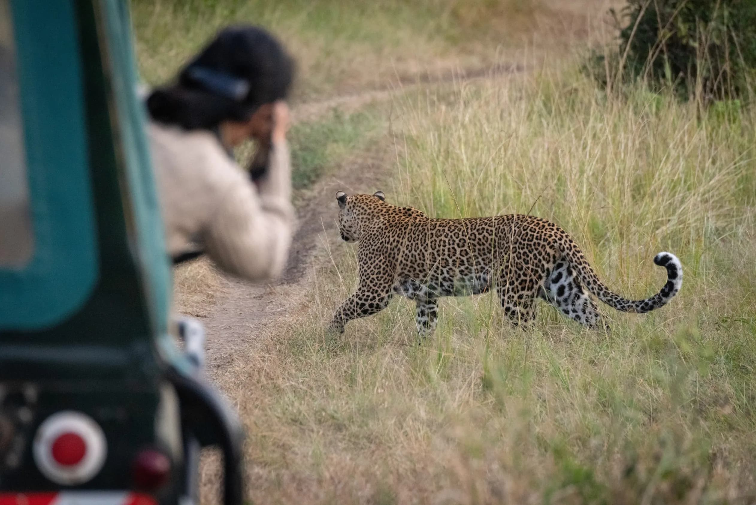 Ranipur Safari Zone
