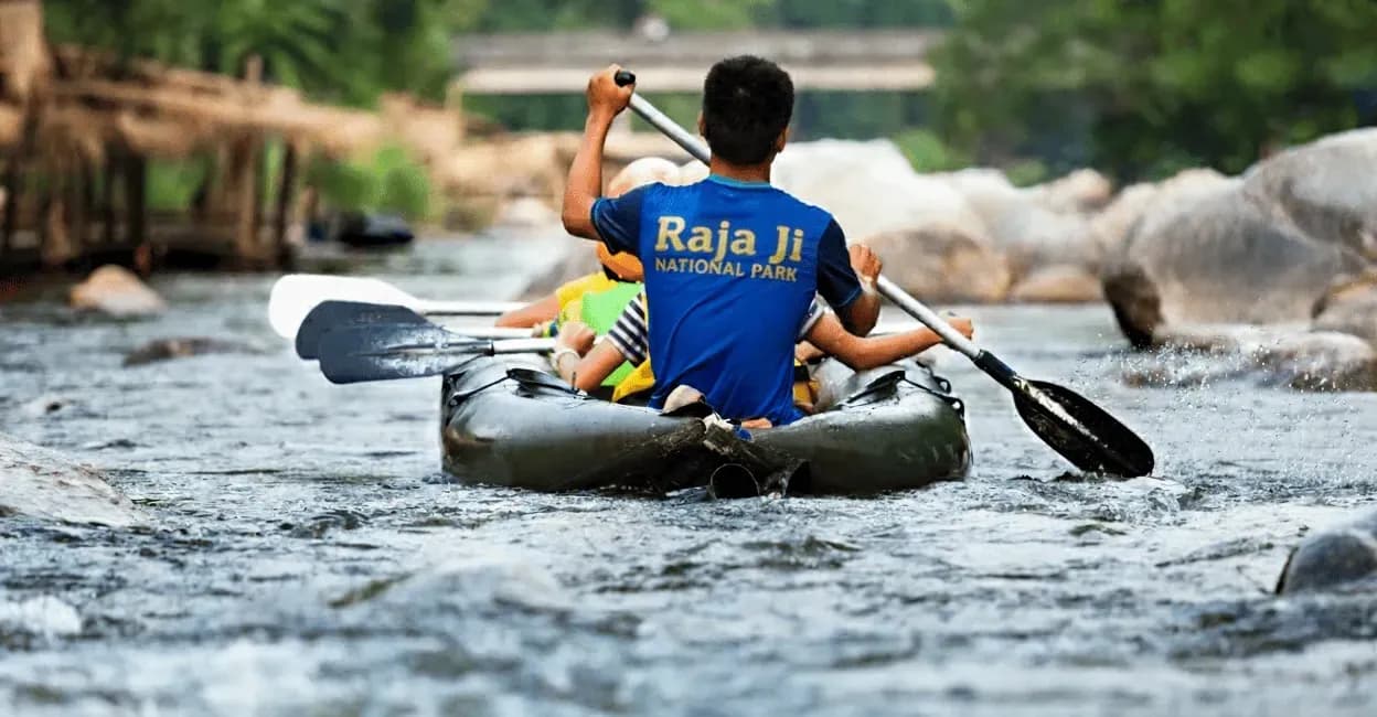 Elephant family at Raja Ji Tiger Reserve